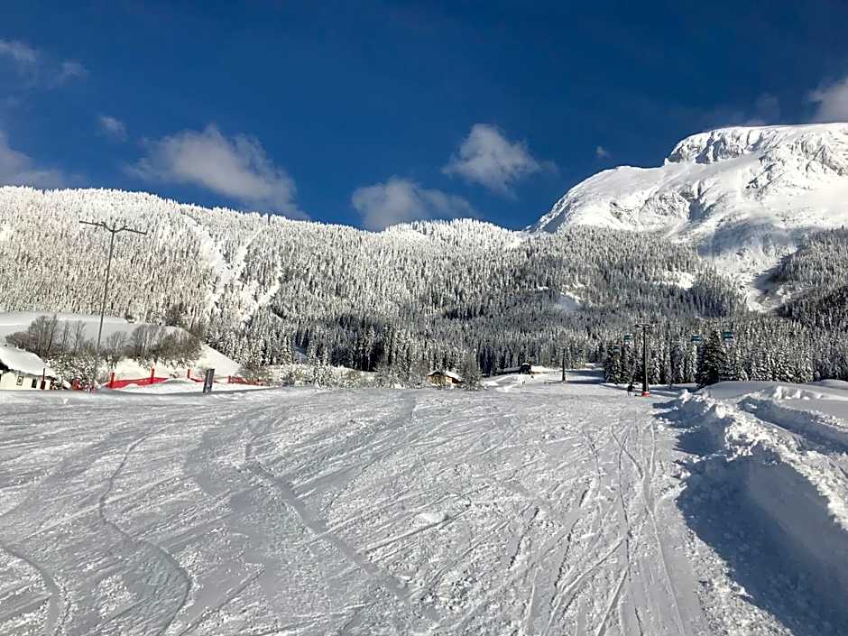 Sporthotel Dachstein West