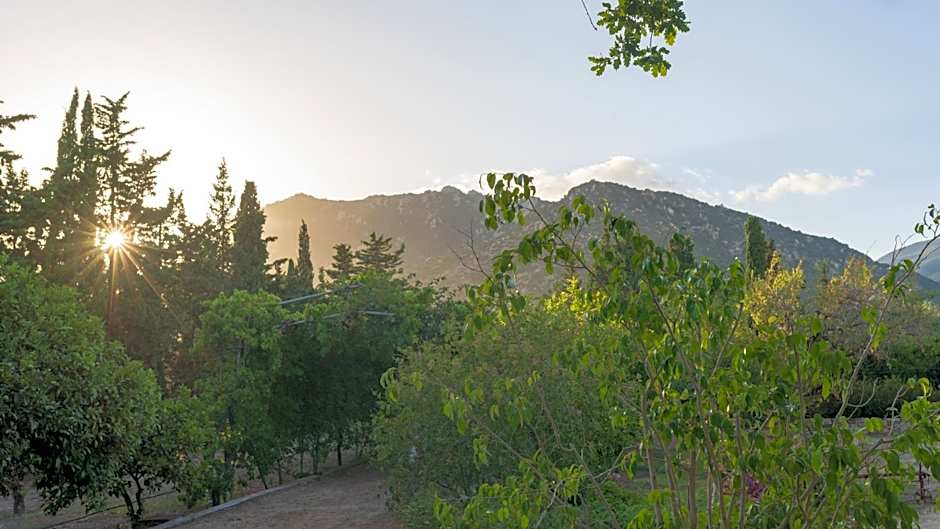 S'Arenada Hotel - Adults Only