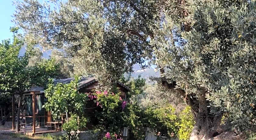 Bahar Bahce Datca