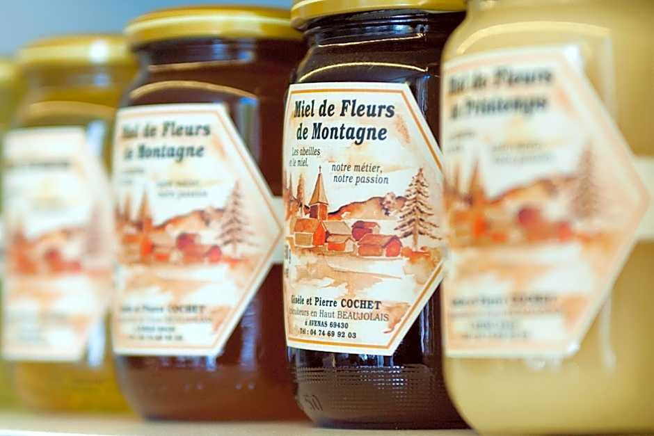 Brit Hotel Mâcon Centre Gare