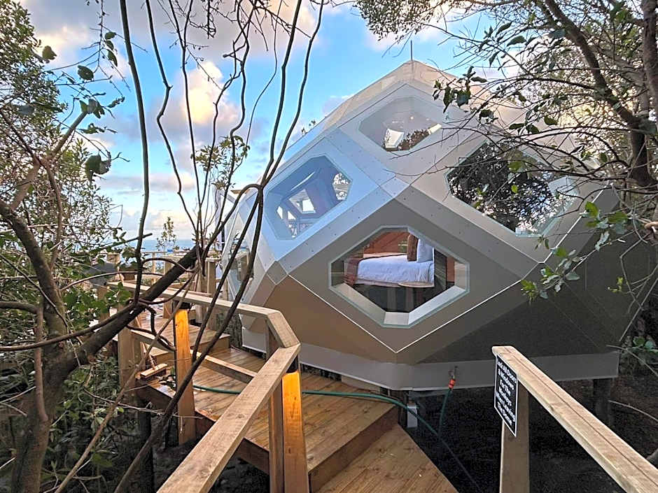 The Hive - Jungle at Misty Mountain Reserve