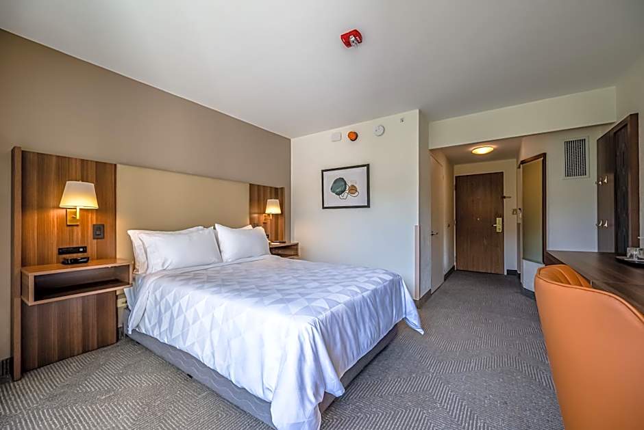 Holiday Inn San Jose La Sabana by IHG