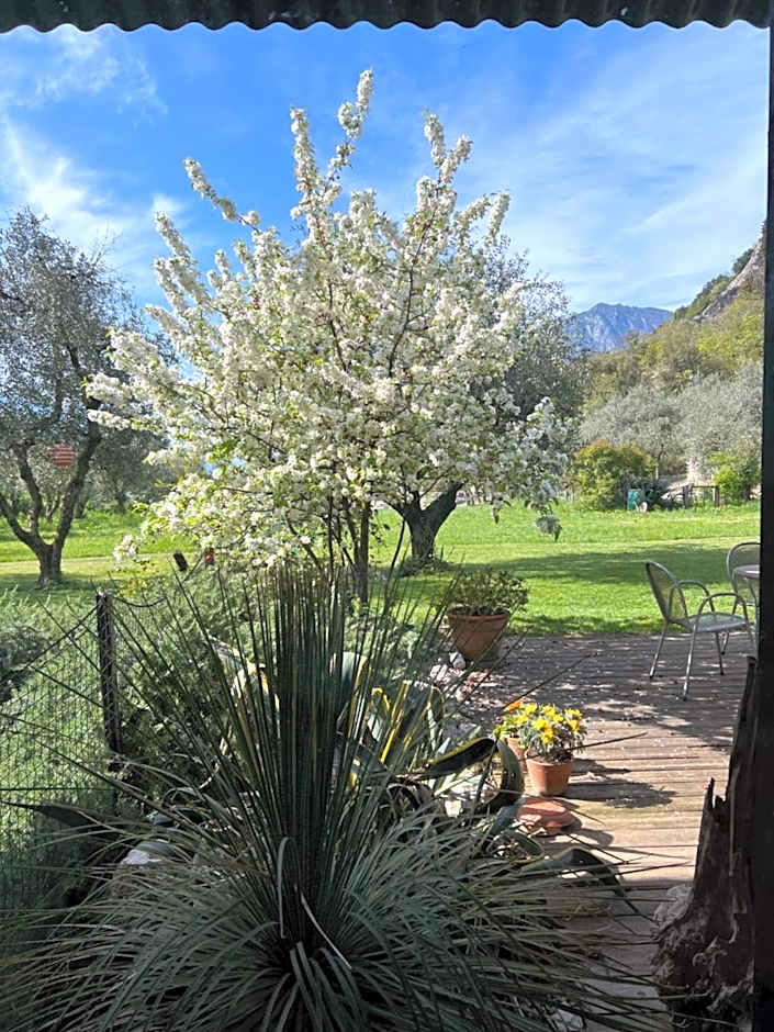 Da La Babi B&B