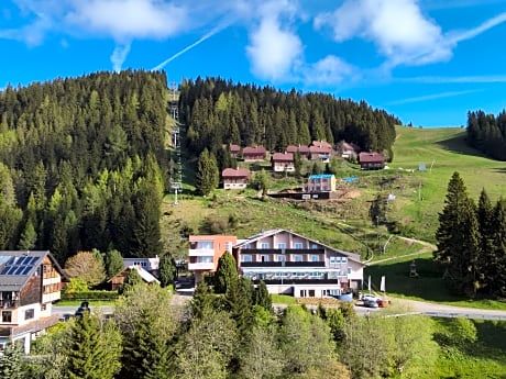 Hotel Alpengasthof Hochegger