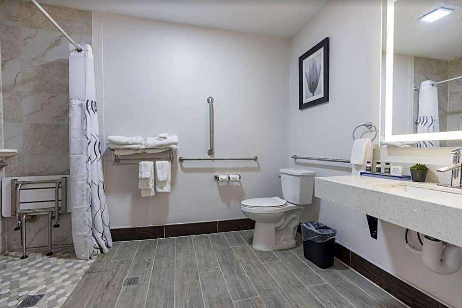 The Leo Collection Detroit, an Ascend Collection Hotel