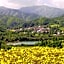 Gli Orzali