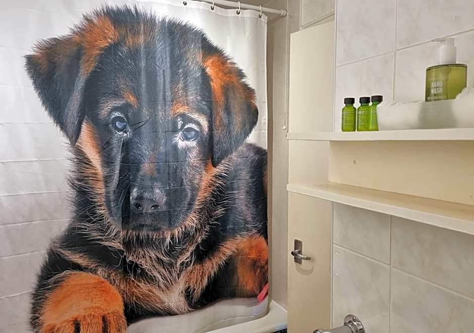 The Four Seasons Hotel