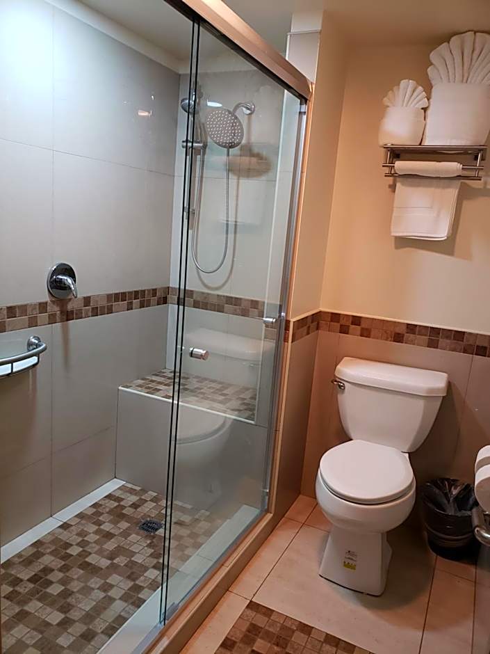 La Villa de Zaragoza