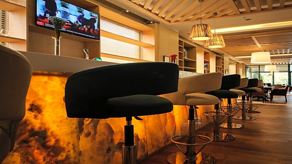 Holiday Inn Istanbul Airport Hotel Turkey Area Information