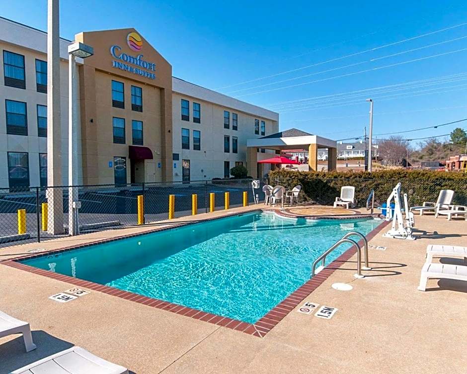 Comfort Inn & Suites LaGrange East