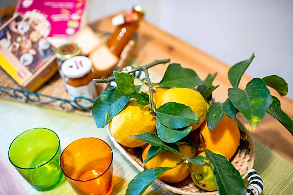 Il Giardino di Tonia - Oplontis Guest House - Bed & Garden -