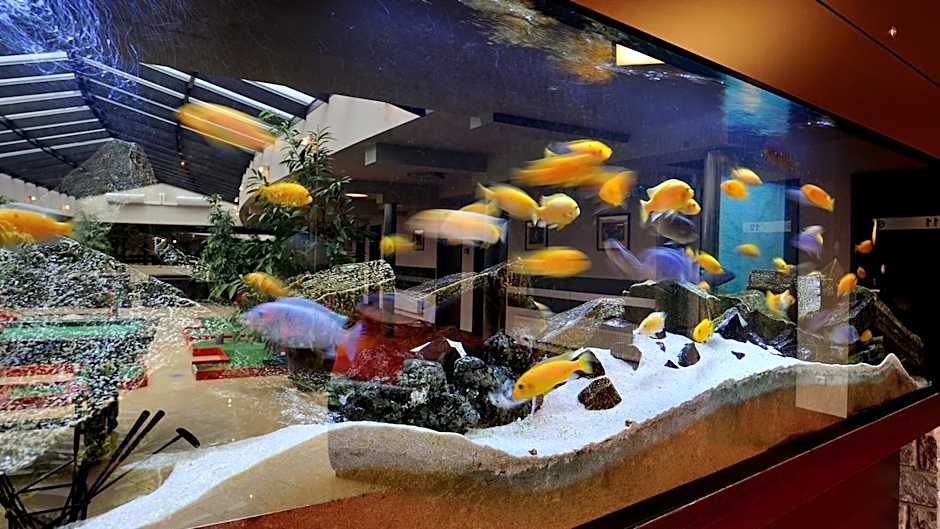 Hotel Diament Spodek