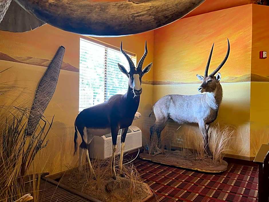 King's Inn