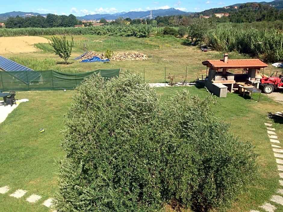 Villa Naclerio