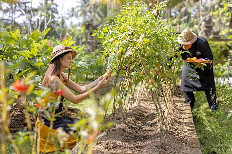 Kuwarasan A Pramana Experience