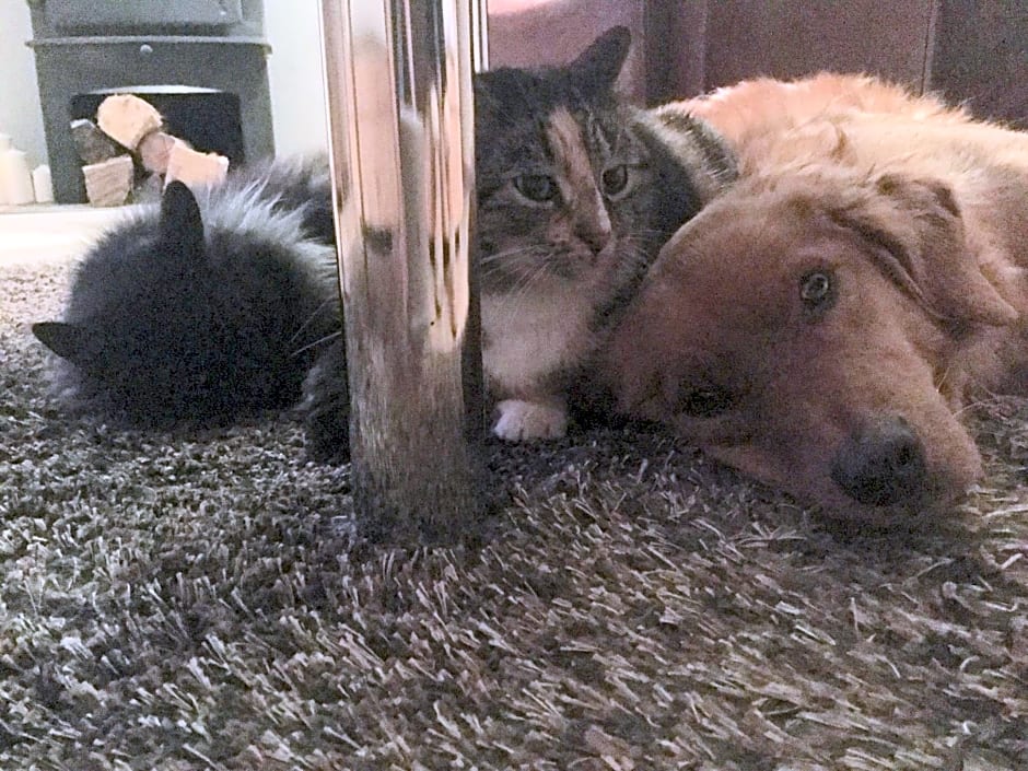 Paul's Barn in France