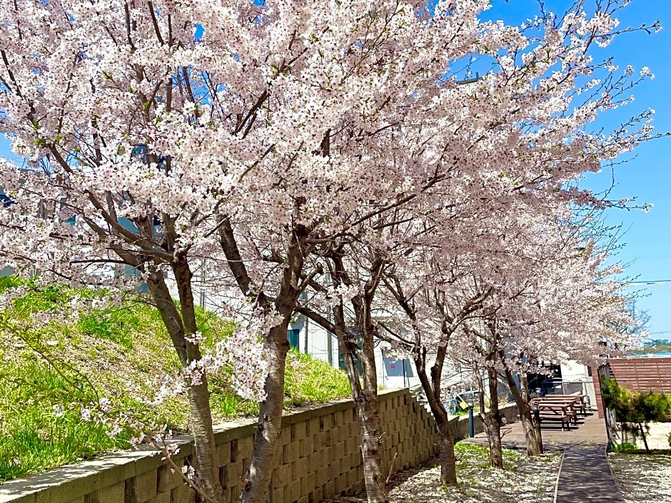 Benikea Chaeseokgang StarHills Hotel