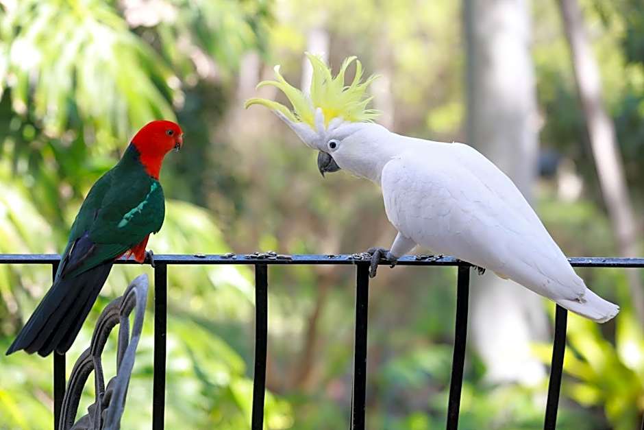 Palm Beach Bed & Breakfast