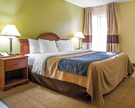 1 King Bed, Nonsmoking