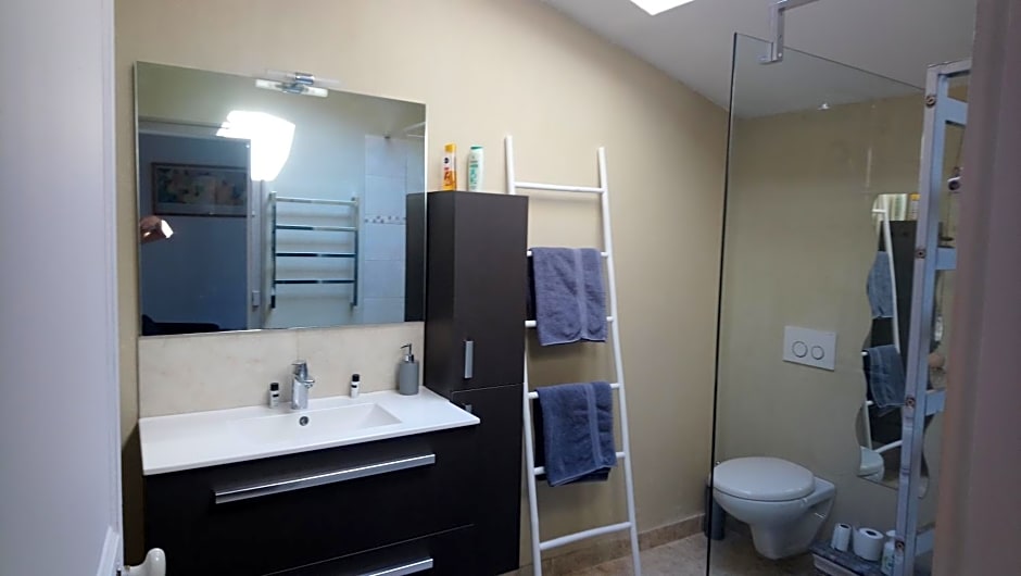 Centre ville, chambre indépendante 20m2 et sa salle de bain privée