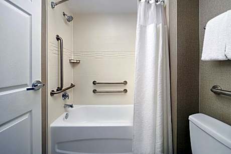 Studio, 1 Queen Bed with Sofa bed (1 Queen Bed and 1 Double Sofa Bed)