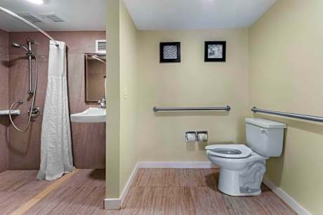 1 King Bed, Nonsmoking, Accessible