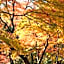 Okutamaji