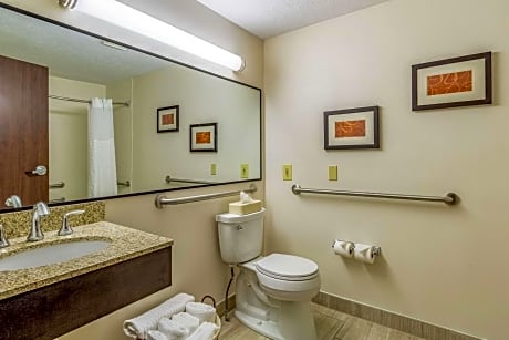 King Room with Roll-In Shower - Accessible/Non-Smoking