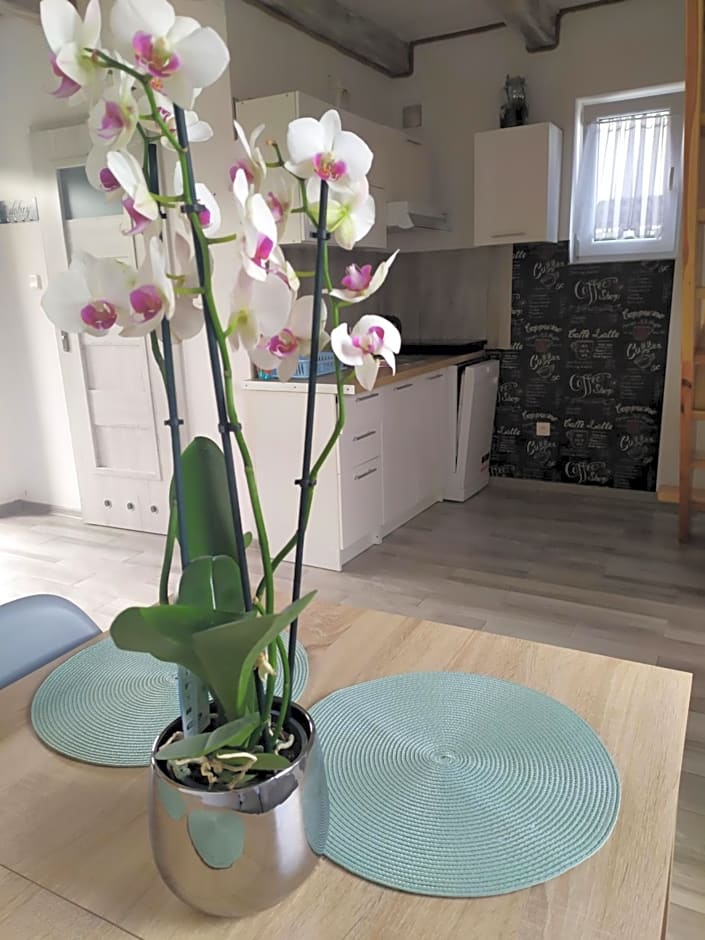 Niezapominajka Kopalino