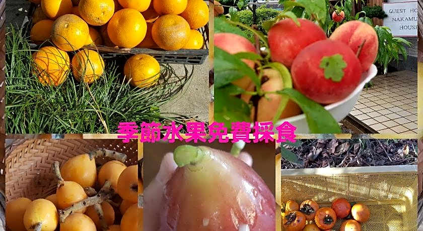 Guest House Nakamura House