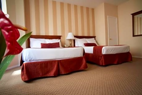 Two Double Beds Room