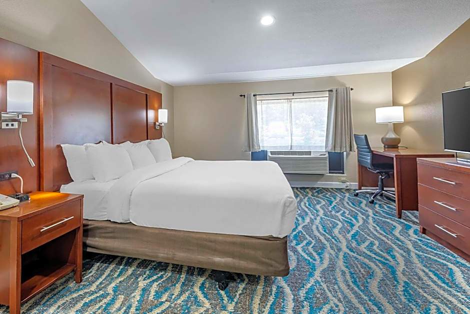 Comfort Inn Asheville East-Blue Ridge Pkwy Access