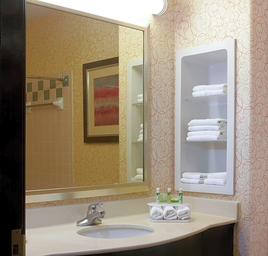 Holiday Inn Express Hotel and Suites Brownsville By IHG