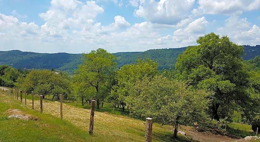 La Ferme de La-haut B&B
