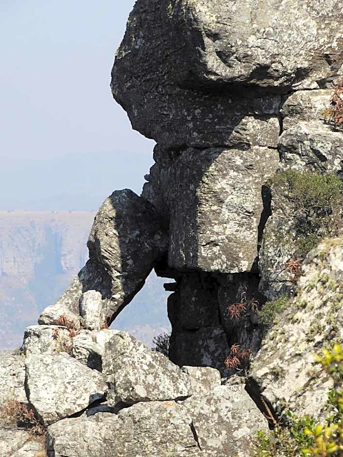 Ku Sungula Safari Lodge