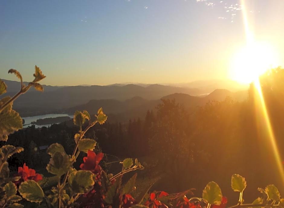 Hotel Baumgartnerhof