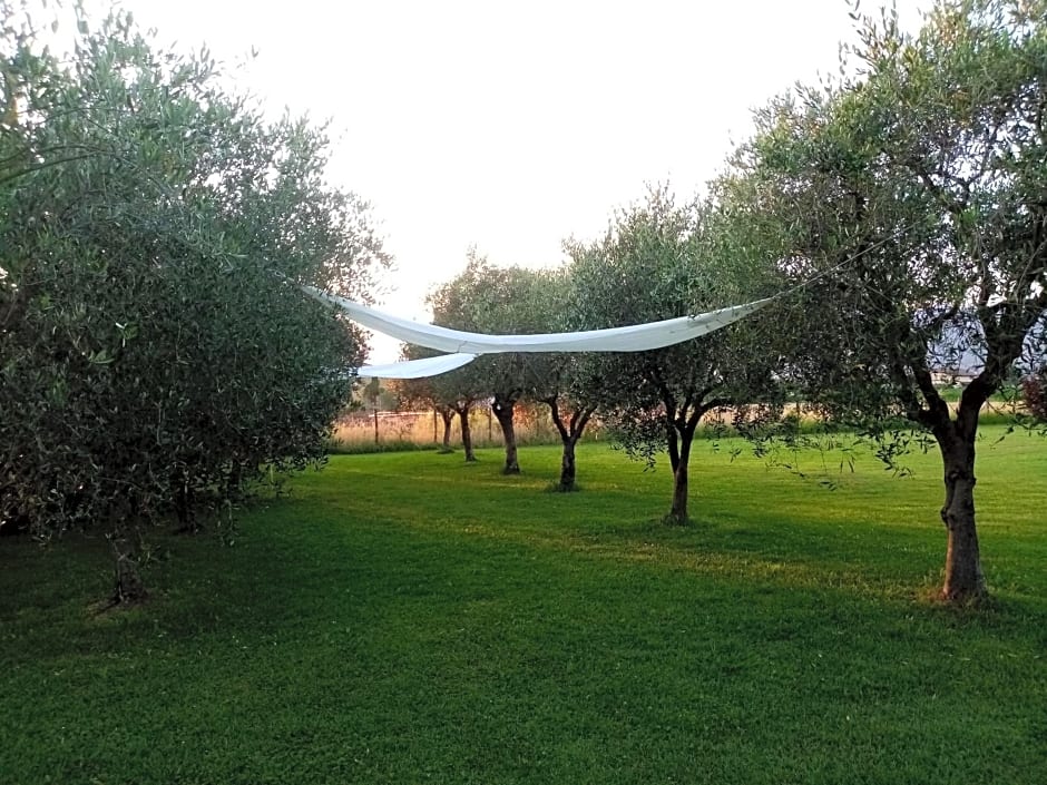 Vecchio Casale Margherita