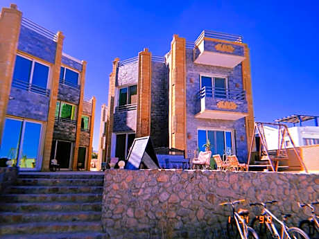 Eel garden paradise dahab