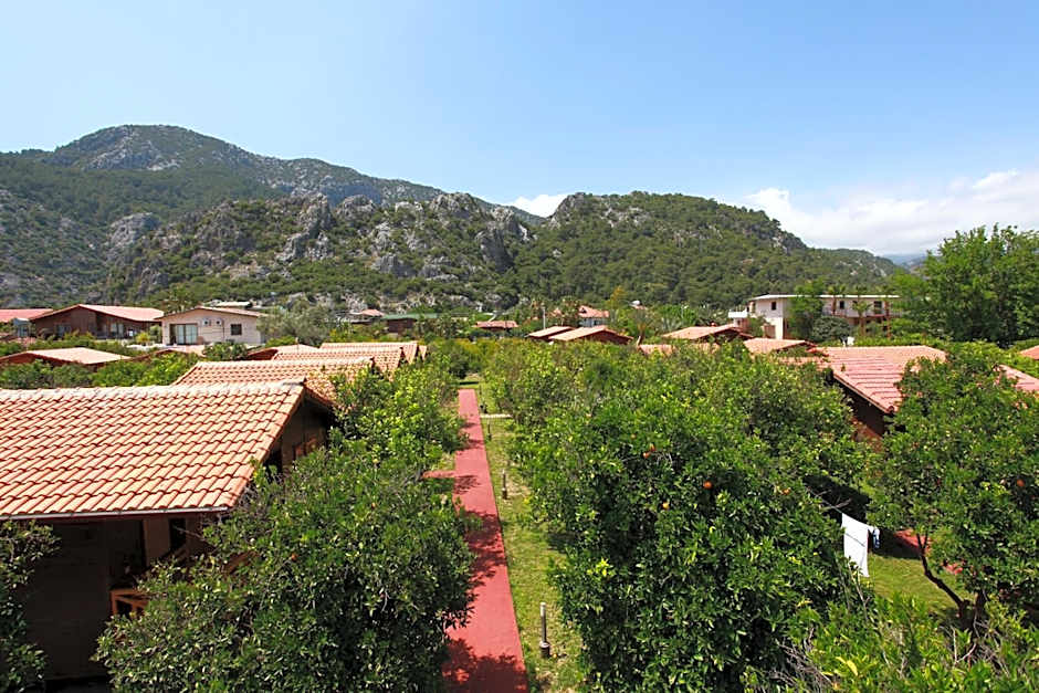 Baris Pension & Bungalows