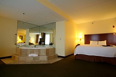 1 King Bed, Executive Studio Suite, Lake View, Non-Smoking