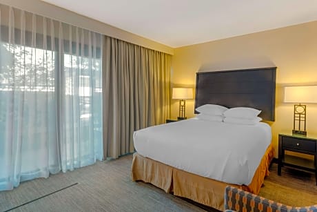 Suite-1 Queen Bed - Non-Smoking, View, Conference Table, 50-Inch Television, Dual Shower Heads
