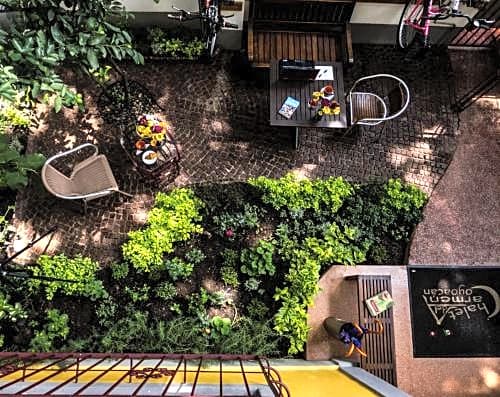 Chalet del Carmen, Coyoacán