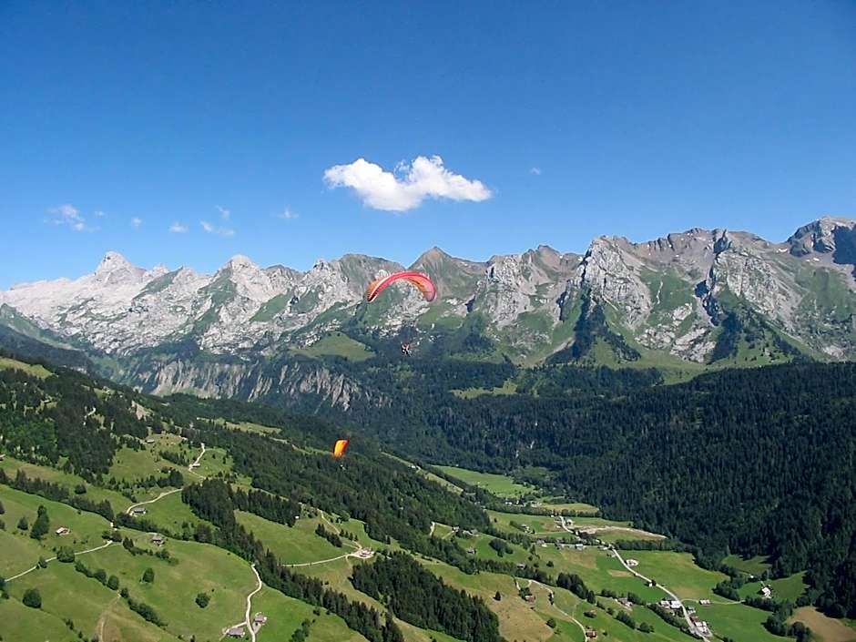 Chalet-Hôtel du Borderan