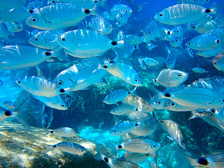 Residence la Chimera