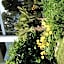 Residence Rivachiara (check-in at Hotel Riviera in Viale Rovereto, 95)