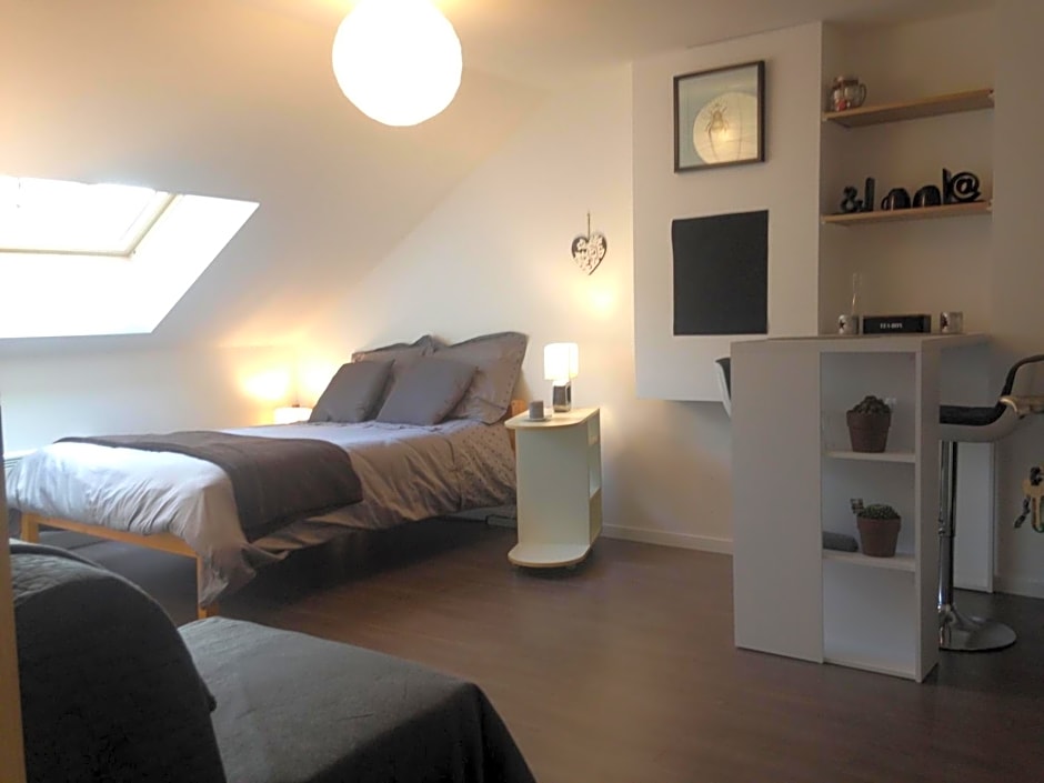 Charles – Thaon-les-Vosges, NM