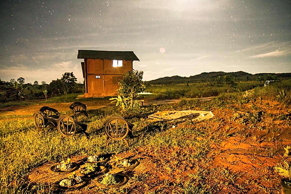 Raizando Ecologia Humana