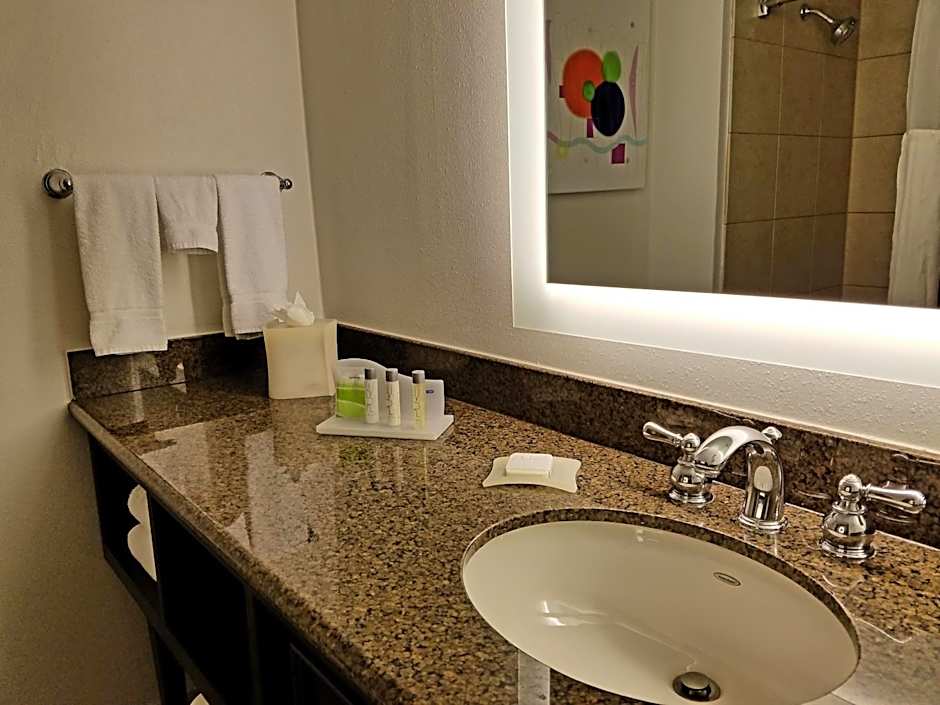 Holiday Inn Las Colinas By IHG