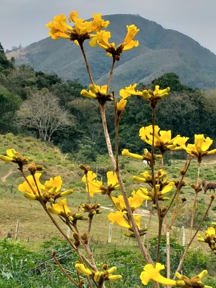 Chalé e Camping Daragona 1