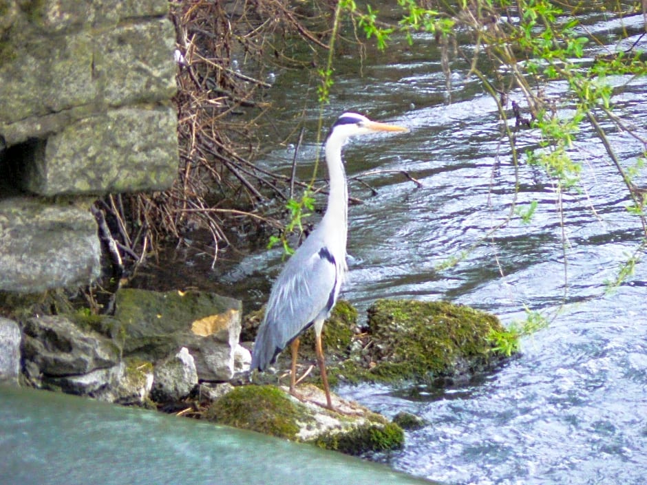 Chambre d'hôtes du Moulin de Landonvillers
